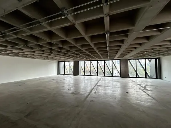 Oficina en Renta - Presidente Masaryk - 115 m2