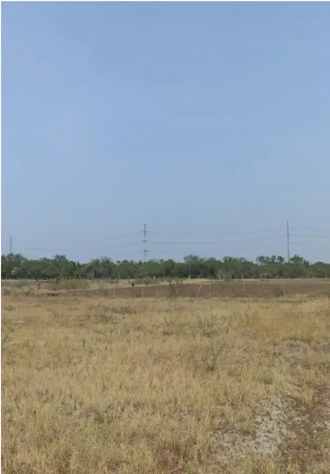 Terreno en venta en El Sabinal (HJ), Pesquería — foto 1 de 10