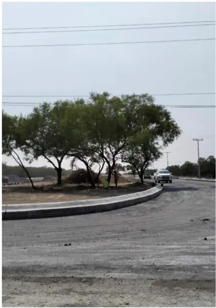 Terreno en venta en El Sabinal (HJ), Pesquería — foto 2 de 10