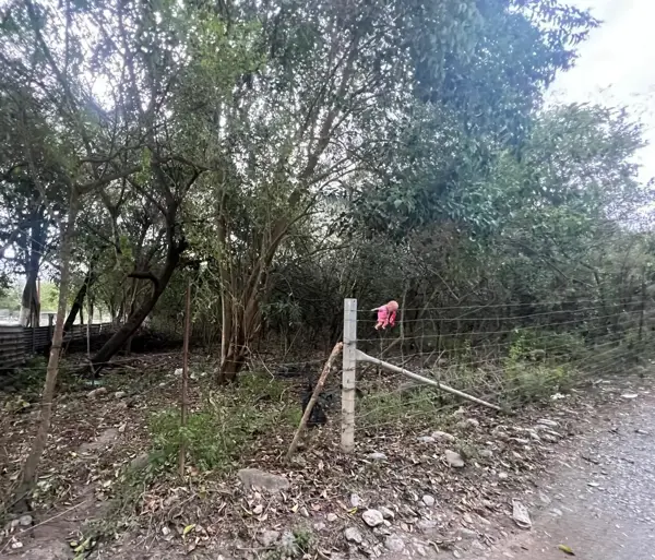 Terreno en venta en El Barrial, Santiago — foto 3 de 4