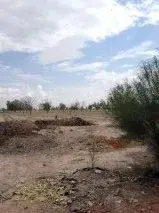 Terreno Industrial en Venta en Ejido el Perú, Torreón