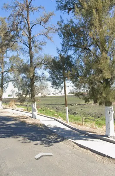 Terreno en renta en El Rodeo, Ixtlahuacán de los Membrillos — foto 2 de 7
