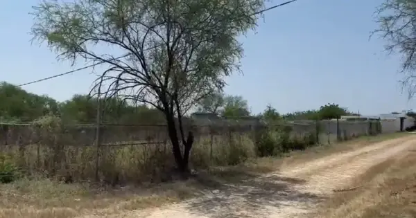Terreno en Venta en Los Laureles, Montemorelos, Nuevo León 5