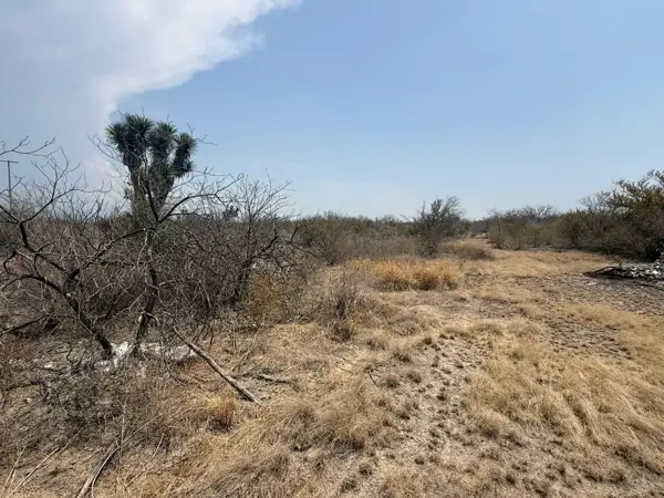 Terreno en renta en Lazaro Cardenas, Salinas Victoria — foto 2 de 4