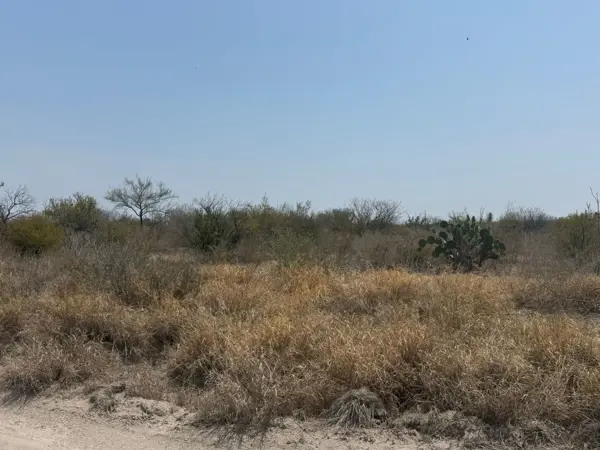 Terreno en renta en Lazaro Cardenas, Salinas Victoria — foto 3 de 4