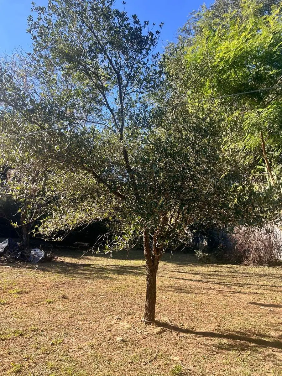 Terreno en venta en El Yerbaniz, Santiago — foto 1 de 11