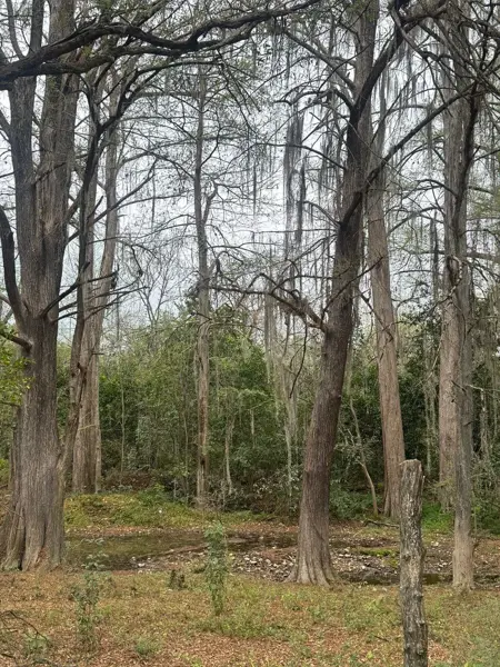 Terreno en venta en Padre Mier, Montemorelos — foto 2 de 9