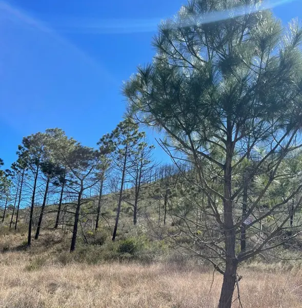 Terreno en venta en Laguna de Sanchez, Santiago — foto 3 de 4