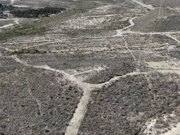 Terreno en venta en Mesón del Norte, Ramos Arizpe — foto 3 de 3