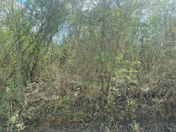 Terreno en venta en Huajuquito o los Cavazos, Santiago — foto 3 de 5