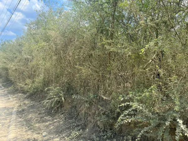 Terreno para desarrollar en Zona El Huajuquito, Santiago — foto 1 de 5