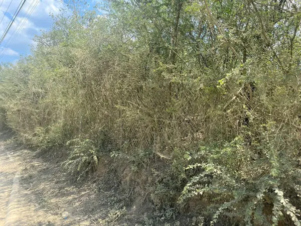 Terreno en venta en Huajuquito o los Cavazos, Santiago — foto 2 de 5