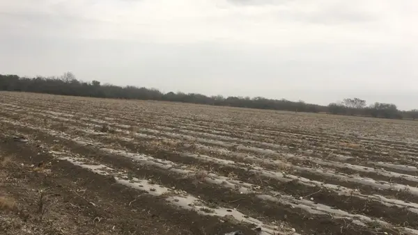Terreno en venta en Atongo de Abajo (Atongo Allende), Allende — foto 2 de 4