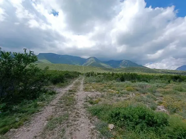 Terreno en Venta ubicado en Bustamante, Nuevo León