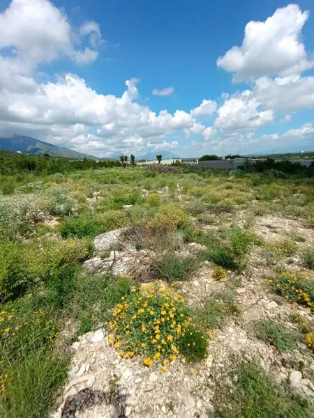 Terreno en venta en Bustamante, Bustamante — foto 2 de 8