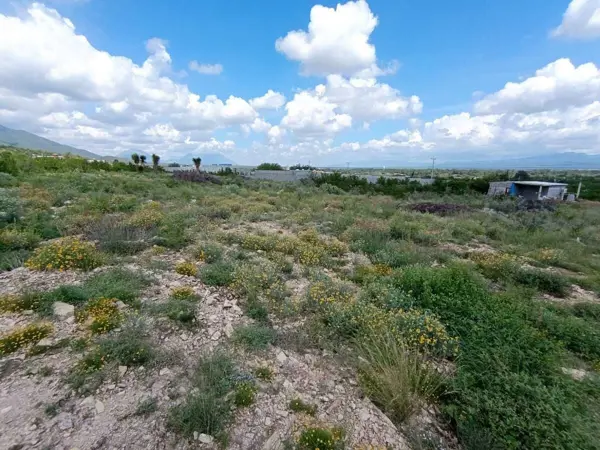 Terreno en venta en Bustamante, Bustamante — foto 3 de 8