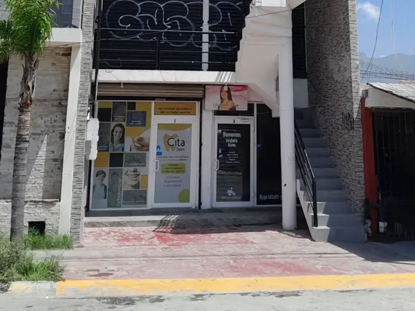 Local en venta en Privadas de las Villas, García — foto 2 de 8