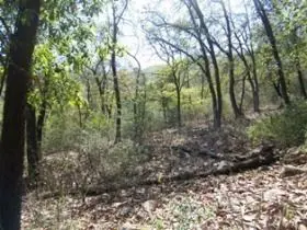 Terreno en venta en Huajuquito o los Cavazos, Santiago — foto 3 de 6
