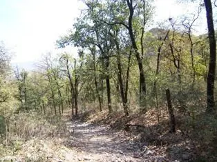 Terreno en venta en Huajuquito o los Cavazos, Santiago — foto 2 de 6