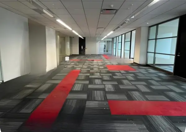 Oficina en Renta en Zona Valle Oriente, San Pedro Garza García, Nuevo León 4