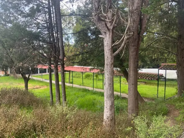Local en Renta | Ideal para Restaurante, Tienda o Proyecto Comercial