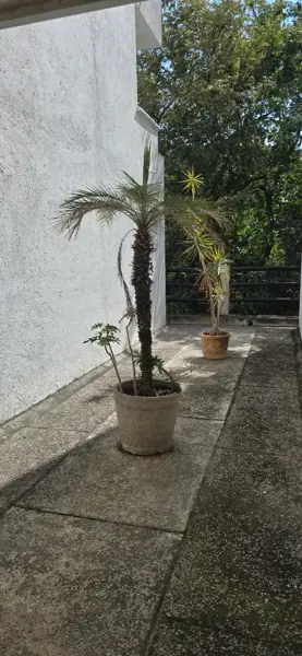 Departamento en venta en Lazaro Cardenas, Cuernavaca — foto 2 de 22