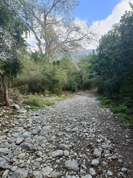 Terreno en venta en Las Margaritas, Santiago — foto 2 de 6