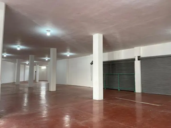 Bodega en renta en Polanco Oriente, Guadalupe — foto 3 de 22