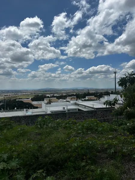 Terreno en venta en Villas de Irapuato, Irapuato — foto 3 de 4