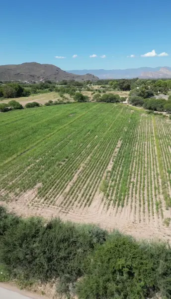 Terreno en venta en Ciudad Juárez, Lerdo — foto 2 de 5