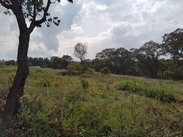 Terreno en venta en Santa Martha de la Cruz, Jilotepec — foto 2 de 38
