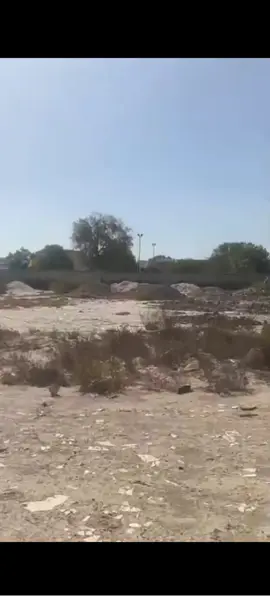 Terreno en venta en La Union, Torreón — foto 2 de 4