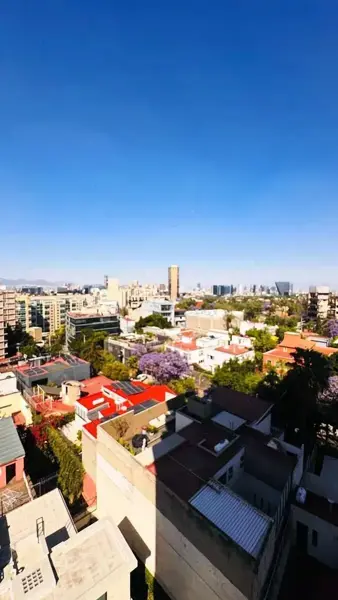 Renta Departamento Exterior Lomas De Chapultepec VIII, 360 M2, Vistas Y Amenidades