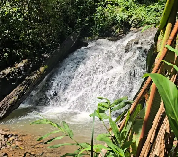 TERRENO CON CASCADA EN VENTA, AVÁNDARO