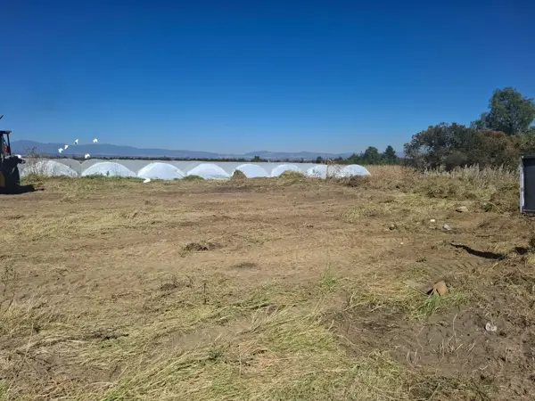 Terreno en venta en San Felipe Teotlalcingo, San Felipe Teotlalcingo — foto 3 de 4