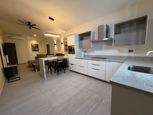 Departamento en Renta Amueblado en San Isidro
