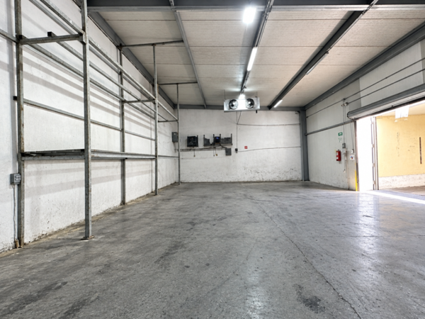 Bodega refrigerada en renta en Col. Nuevo Almaguer