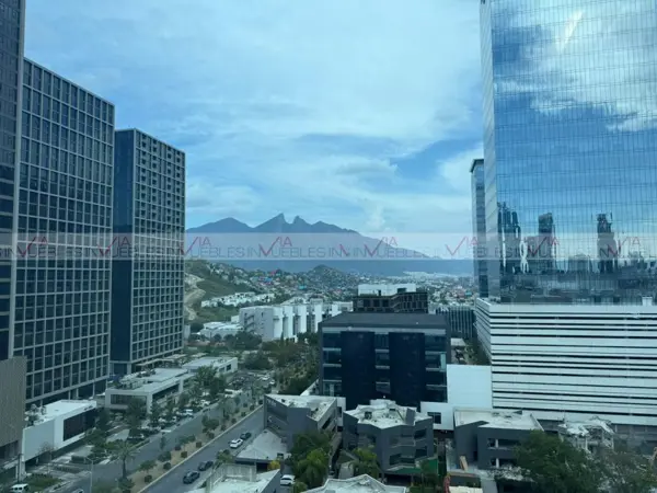 Distrito Armida