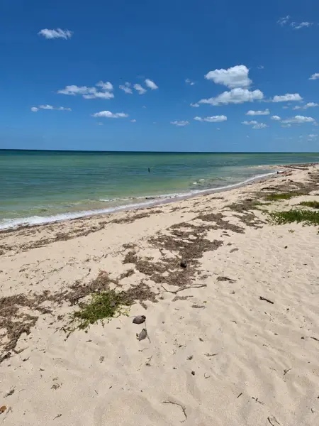 | Terreno frente al mar en venta en San Benito, Dzemul |