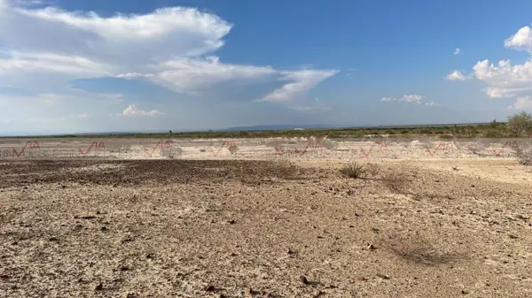 Terreno en venta en Parras de la Fuente Centro, Parras — foto 3 de 14