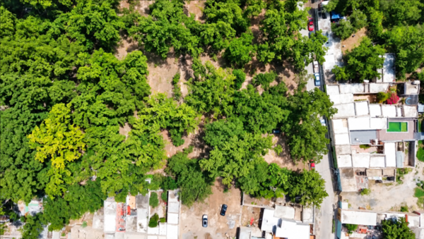 Terreno en venta en Parras de la Fuente Centro, Parras — foto 3 de 10