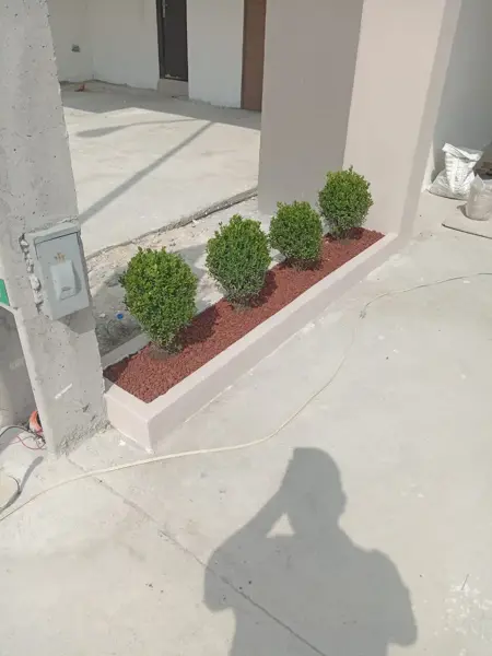 Casa en renta en Estancias Valle de Plata, Apodaca — foto 2 de 14