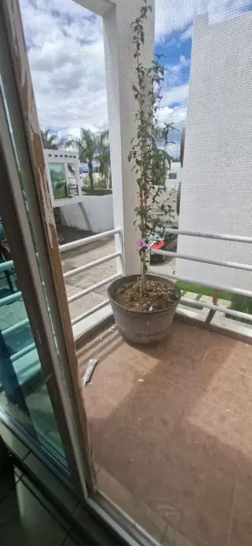 Casa en renta en Tierra Larga, Cuautla — foto 3 de 15