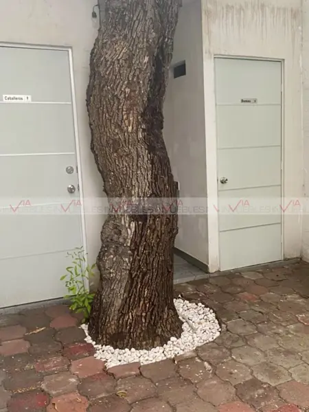 Casa en venta en Ciudad Santa Catarina Centro, Santa Catarina — foto 3 de 14