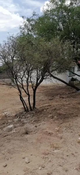 Terreno en venta en Residencial los Viñedos de Tequisquiapan, Tequisquiapan — foto 3 de 8