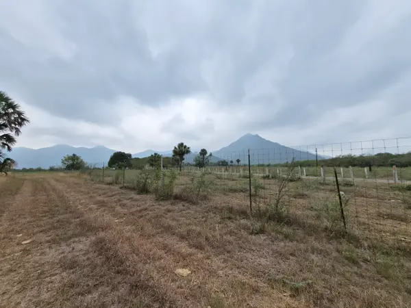 Terreno en venta en La Lobita, Juárez — foto 2 de 10