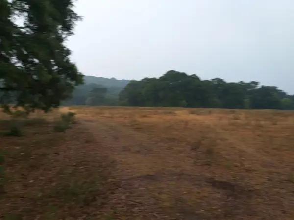 Terreno en venta en Santa Martha de la Cruz, Jilotepec — foto 3 de 42