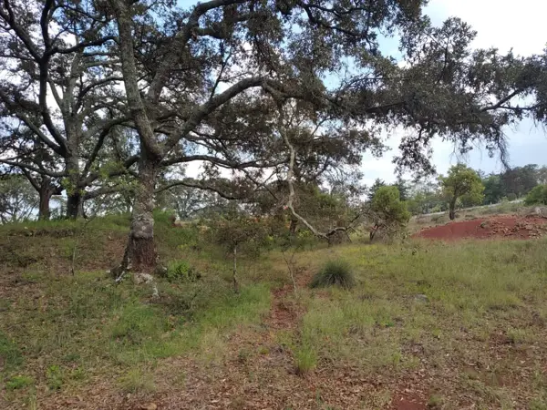 Terreno en venta en Santa Martha de la Cruz, Jilotepec — foto 2 de 42