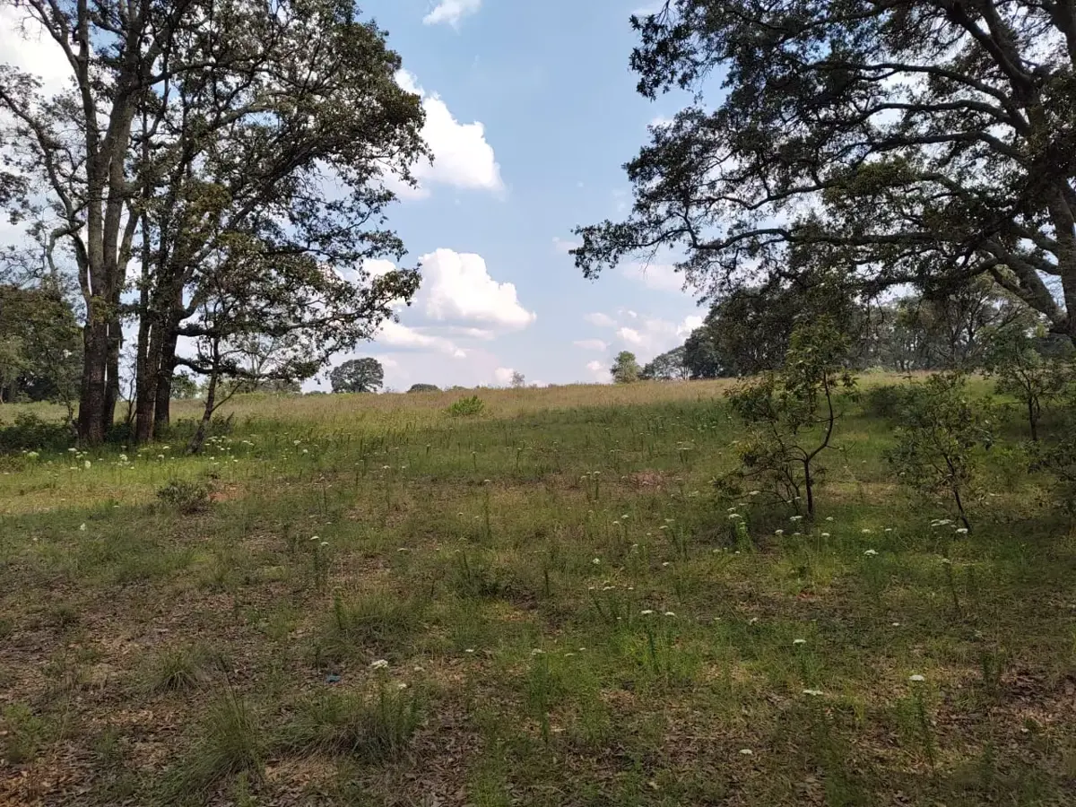 Terreno en venta en Santa Martha de la Cruz, Jilotepec — foto 1 de 42