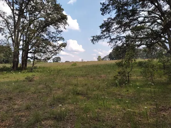 Terreno en Venta Santa Martha de la Cruz, Jilotepec